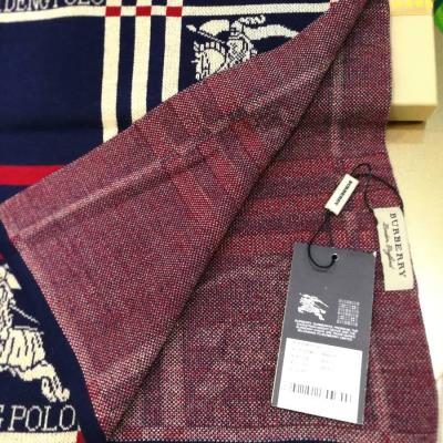 cheap burberry scarf cheap no. 210